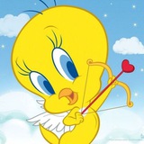 ㅤㅤ𝓛ove & 𝓣wee-light, ♡