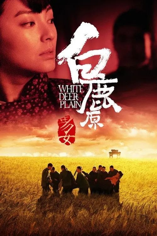 名称：白鹿原 (2012) 4K 高码
