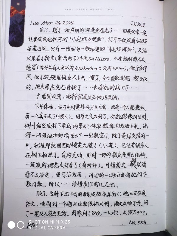 媒体预览