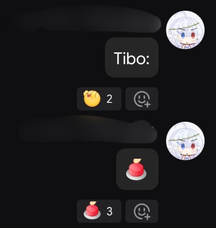 明天的 Tibo：