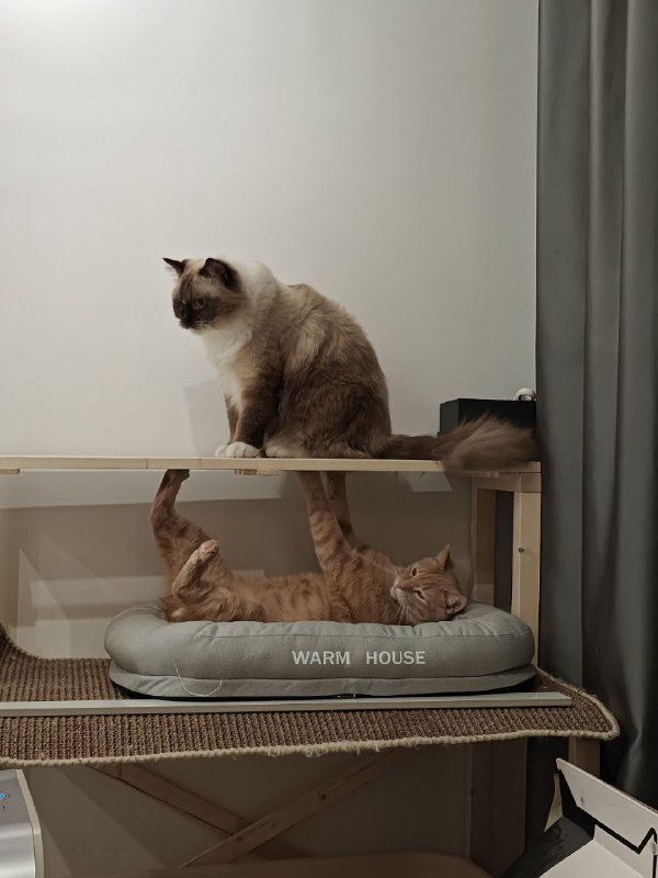 愿意住到一起了☺️