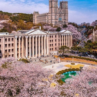 California High School Telegram Group Link