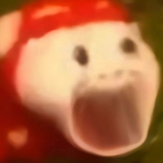 Telegram: Contact @ttttttttbbb Telegram Group Link