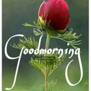 Grow Your Mutual Fund Knowledge Telegram Group Link