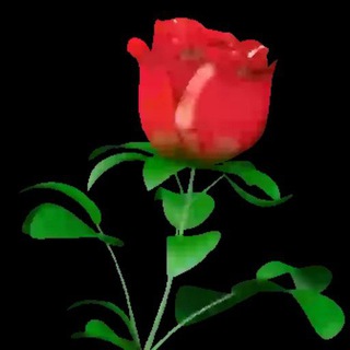 All India Marriage Telegram Group Link