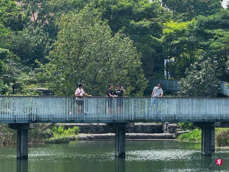南洋理工大学的南大湖被指罗非鱼不受控繁衍，南大职工称获校方批准，以垂钓控制罗非鱼数量。南大澄清社媒误传消息，所有垂钓活动由南大垂钓俱乐部监管，以教育为目的并须获得许可，不开放给公众，捕获的鱼最终也须放回湖里。