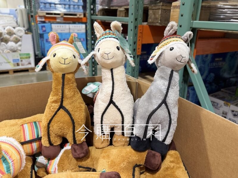 新品情報看這邊 