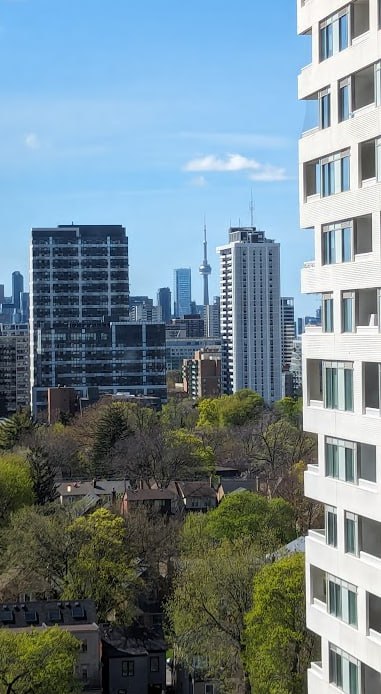 四時之景不同，而樂亦無窮也