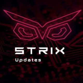 STRIX | Discussion Telegram Group Link