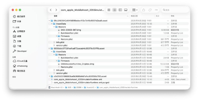 Xcode 26 从 beta 1 升级到 beta 2 以后，在设置里看不到 beta 1 的模拟器也无法卸载它