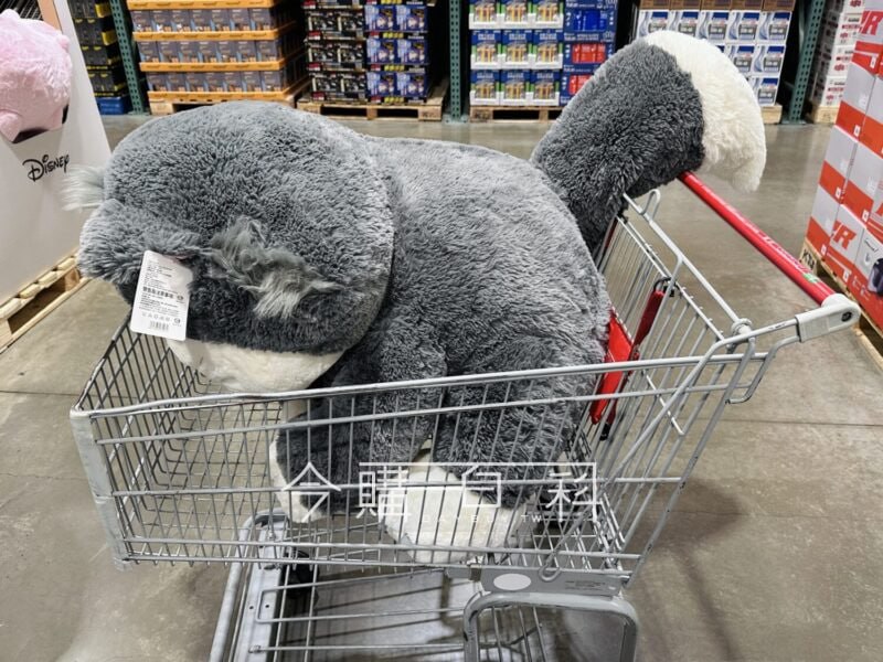 新品情報看這邊 