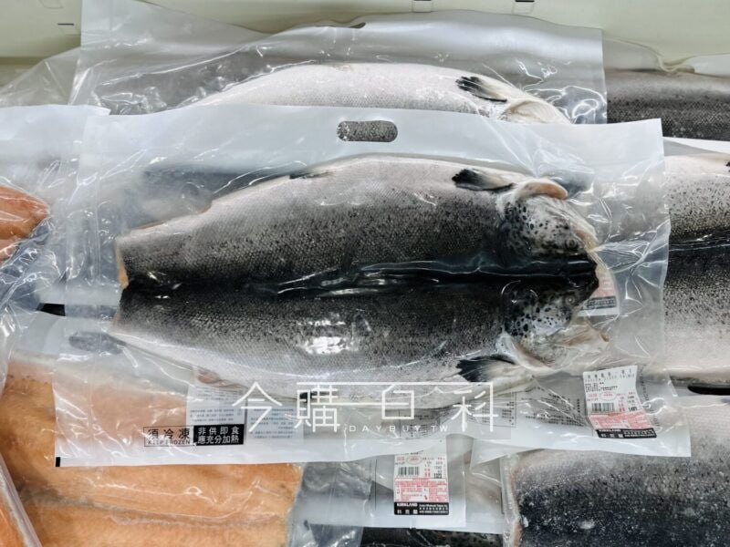 優惠情報連結 