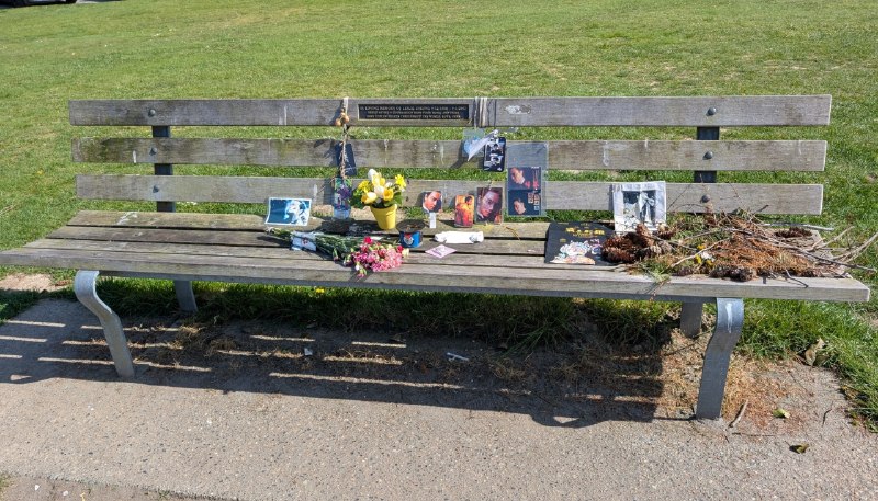 春天該很好你若尚在場春天該很好你若尚在場