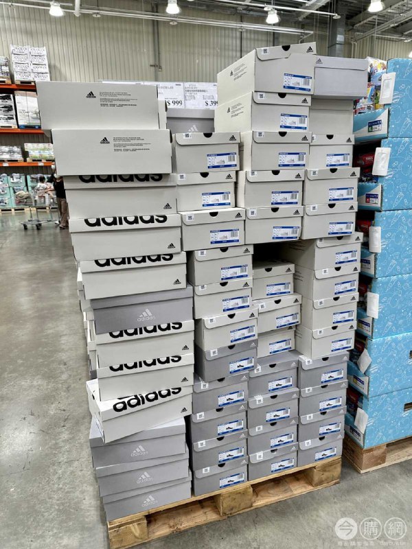 新品完整情報 