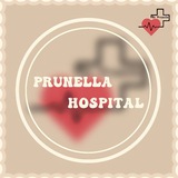 🏥 𝐏𝐑𝐔𝐍𝐄𝐋𝐋𝐀 𝐇𝐎𝐒𝐏𝐈𝐓𝐀𝐋 ꨄ︎