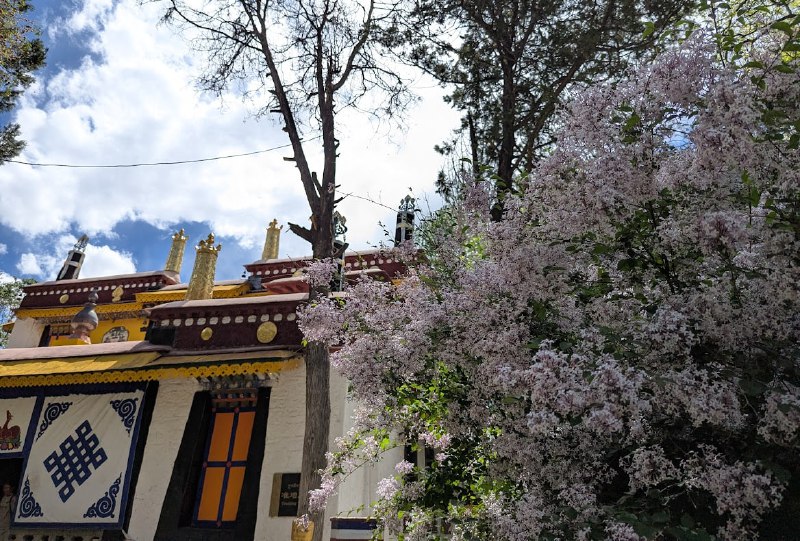 達格架噴泉 & 羅布林卡圖博之行也算達到尾聲了，我最深的感觸就是，今日圖博是一個四川話完全通行的地方……我爸無論打車、酒店、飯店都默認和對方說四川話，然後，對面就四川話接上了……達格架噴泉 & 羅布林卡圖博之行也算達到尾聲了，我最深的感觸就是，今日圖博是一個四川話完全通行的地方……我爸無論打車、酒店、飯店都默認和對方說四川話，然後，對面就四川話接上了……