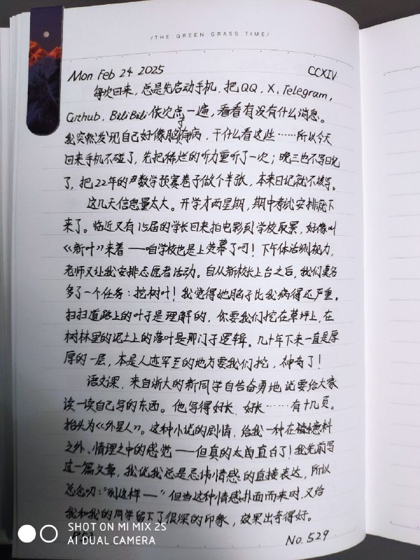 媒体预览