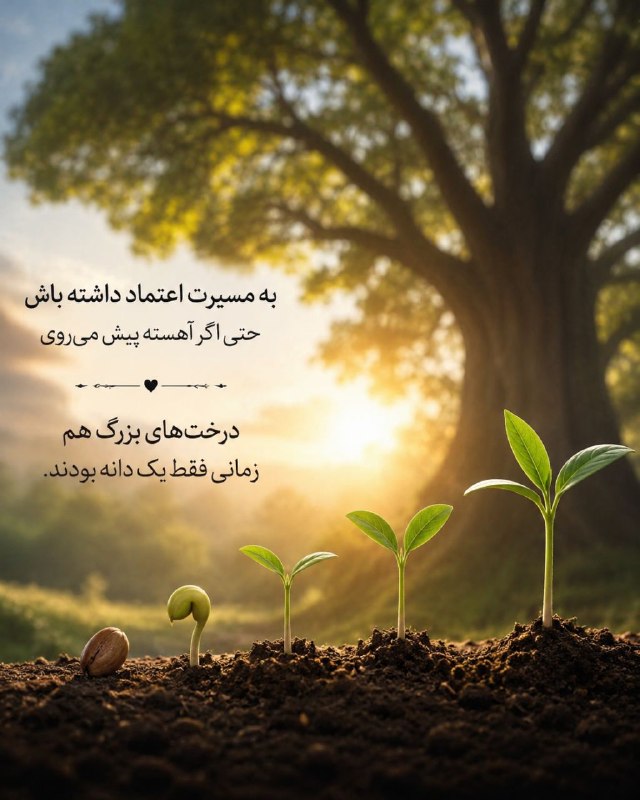 استغفار: به مسیرت اعتماد داشته باشحتی اگر آهسته پیش می‌رویدرخت‌های بزرگ همزمانی فقط یک دانه بودند.‌⛲→ @astakhfar00000 ┄┅❥❥❥🌼🔮🌼❥❥❥