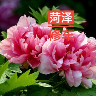 山东菏泽修车群 Telegram Group Link