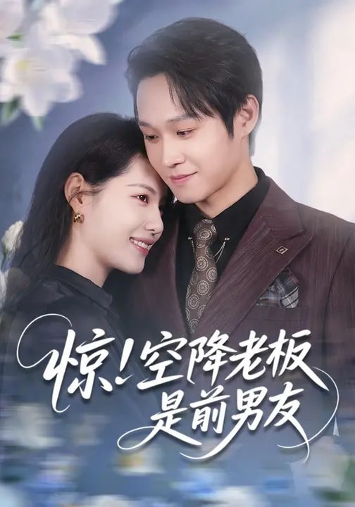 名称：惊空降老板是前男友 (65集) 董洁&王金泽 | 短剧