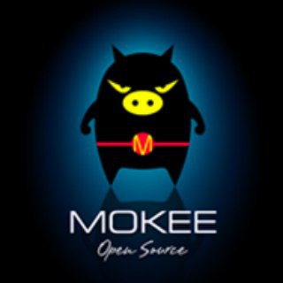 魔趣ROM综合讨论群 Telegram Group Link