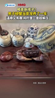 刚盘包浆就退壳