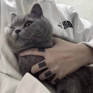 警花强势回归