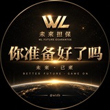 未来担保公告