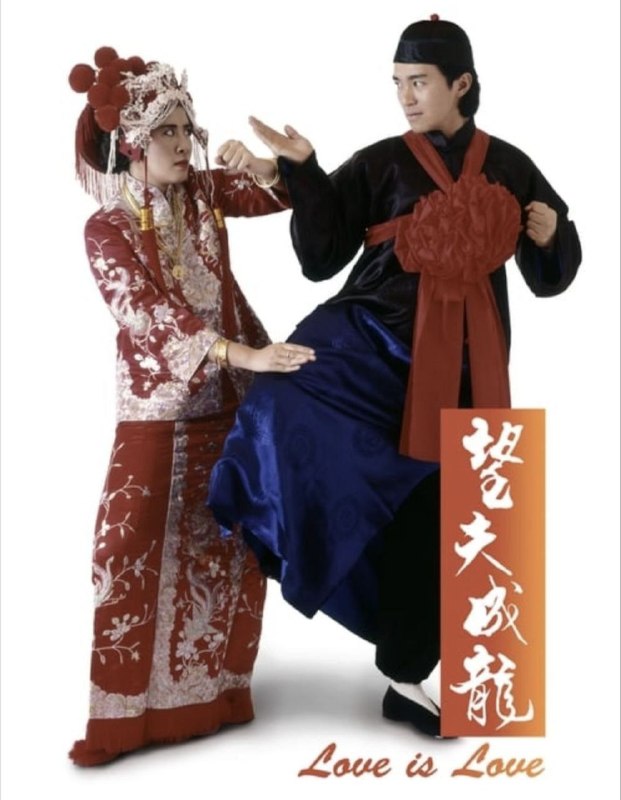 名称：【原盘】望夫成龙 (1990) 1080P REMUX 国粤多音轨 外挂/内封简中字幕