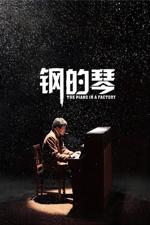 名称：【原盘】钢的琴 (2010) 1080P REMUX 内封简繁字幕