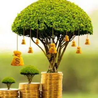 Team OF Traders Malayalam Telegram Group Link