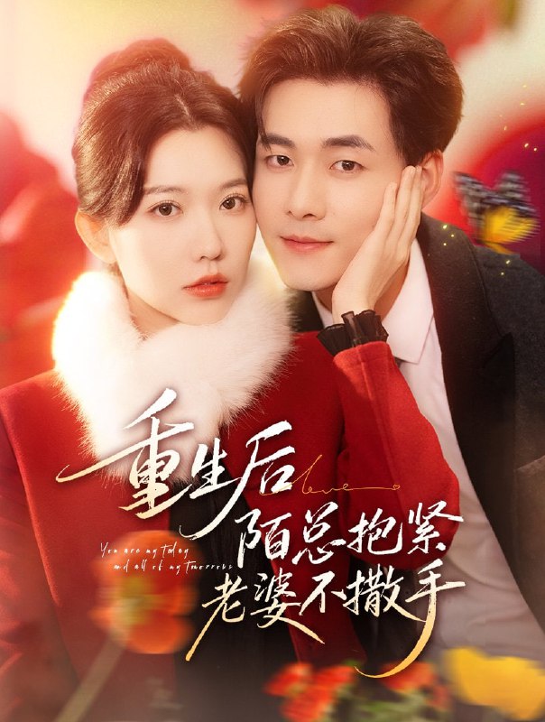 重生后陌总抱紧老婆不撒手（66集）盛晨&孟佳辉