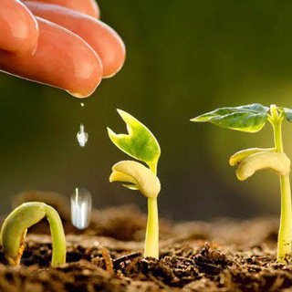 Agriculture UPCATET GK Questions Telegram Group Link