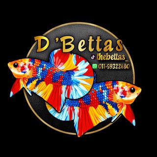 D’Bettas Fish Gallery🇲🇾