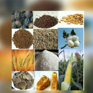 AGRI COMMODITY CHANA SYBEAN Telegram Group Link