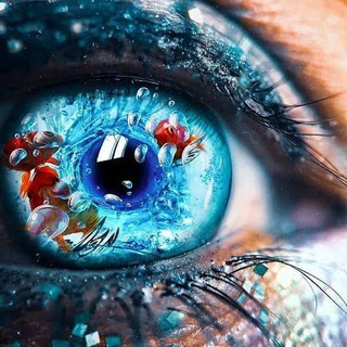 Bike🏍️Status🏍️Videos Telegram Group Link