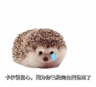 迷失: https://jandan.net/t/6081852OO: 145 XX: 10所斯旧: 谢谢卡尔。我已告别悲伤，走向新的生活。OO: 33, XX: 0傻风牌烧仙草: 每当我喝水的时候都会想起卡尔OO: 5, XX: 0