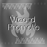 WIZARD PROMOTE