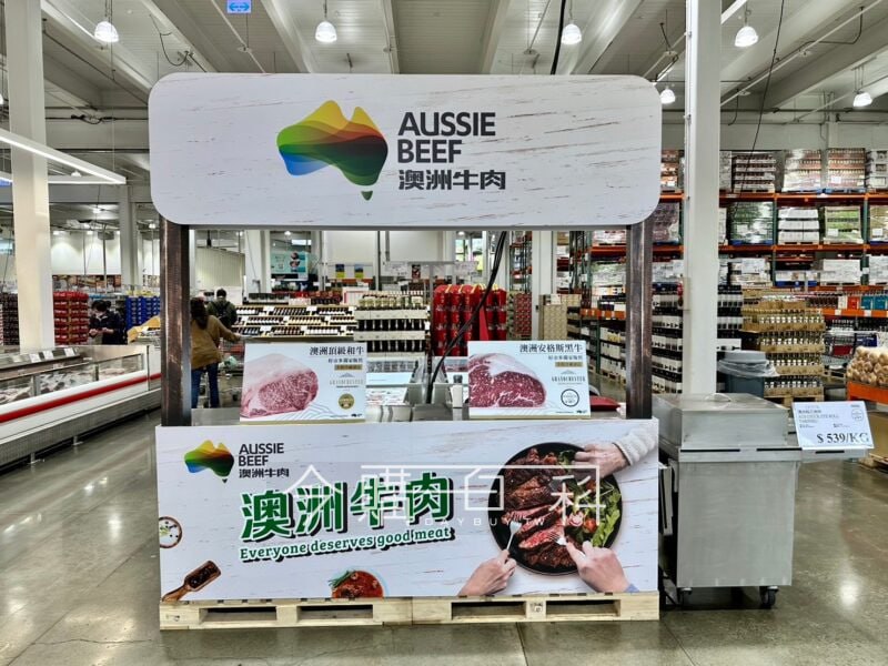 特展情報看這邊 