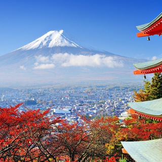 🇯🇵 Япония Сегодня 🇯🇵 Новости Telegram Group Link