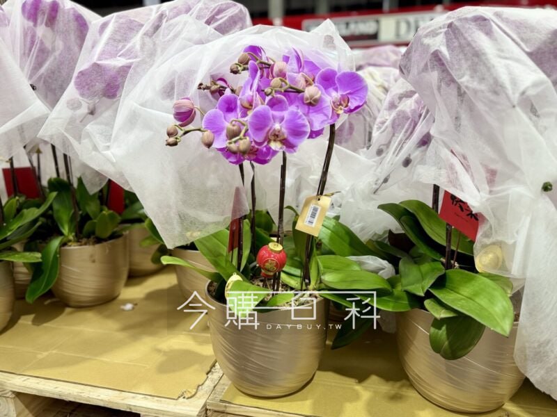 新品情報連結 