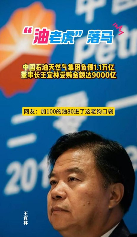 搜索了一下，说是被捕