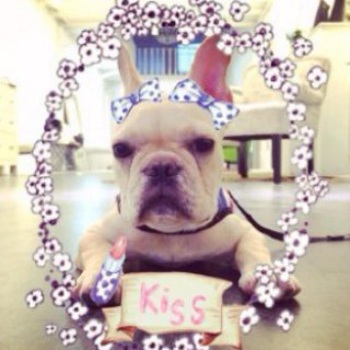 HK港股交流中心 Telegram Group Link