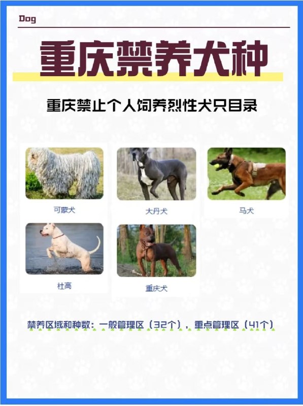 重慶禁養重慶犬拉不拉多能不能養拉不拉多？