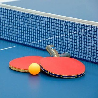 1xBet Table Tennis Free Bets Telegram Group Link