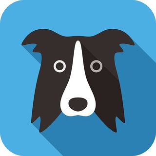 牧羊犬