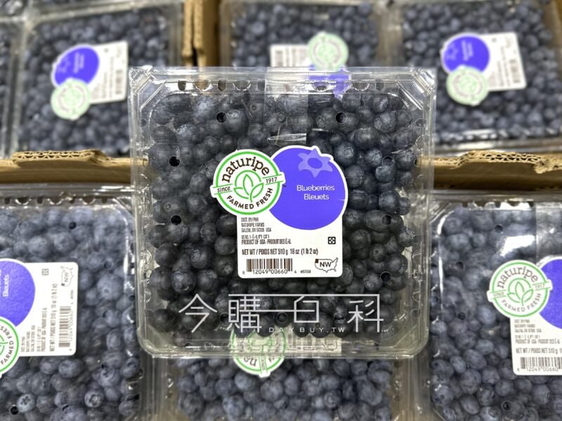 優惠情報看這邊 
