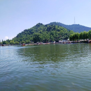 Hindi Movies download Punjabi Movies download Hollywood Dubbed Movies Telegram Group Link