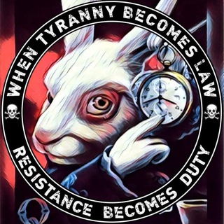 Telegram profile photo for Down the rabbit hole we go... 🐰🍿