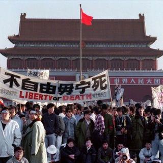 ♥️上海频道电报讨论組Shanghai魔都電報群 Telegram Group Link